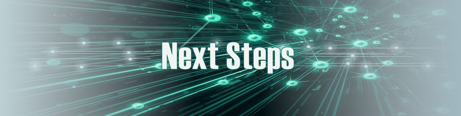 Next Steps